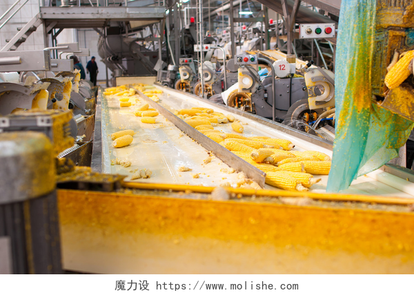 生产流水线上的玉米食品加工
